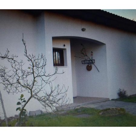 Appartamento in villa con giardino a 300m dal Lago Maggiore Castelletto sopra Ticino Esterno foto
